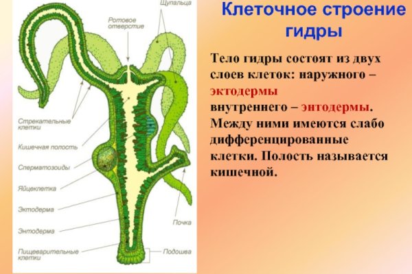 Kraken актуальные ссылки официальный сайт