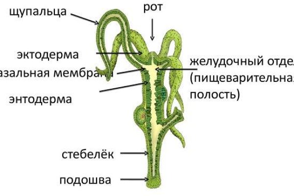 Kraken 13at вход