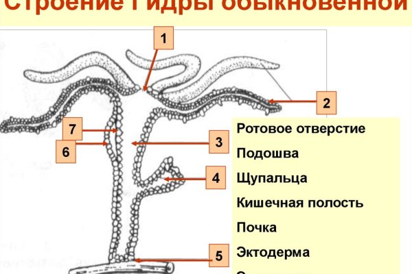 Запрещенный сайт кракен