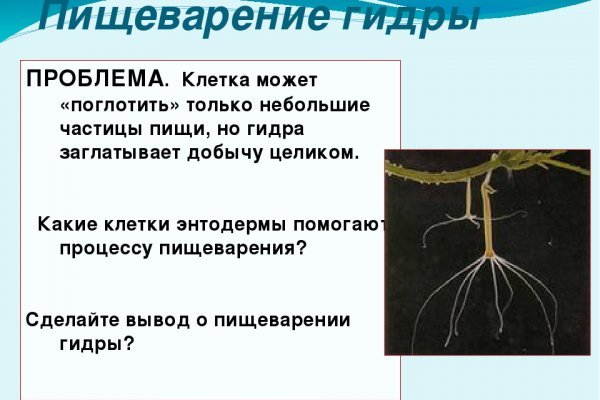 2krn cc официальный