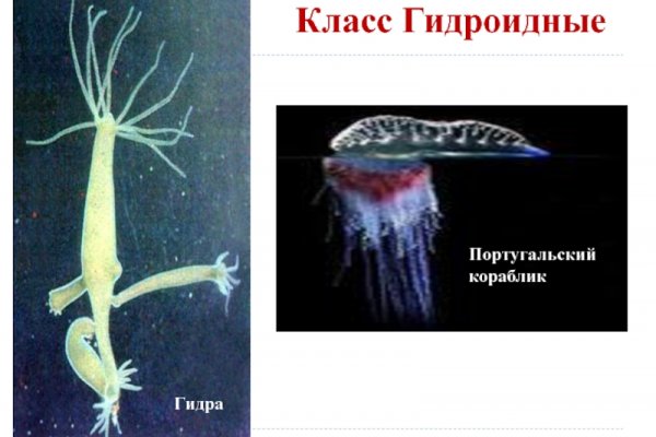 Ссылки даркнета