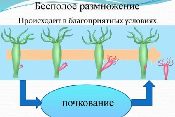 Кракен сайт kr2web