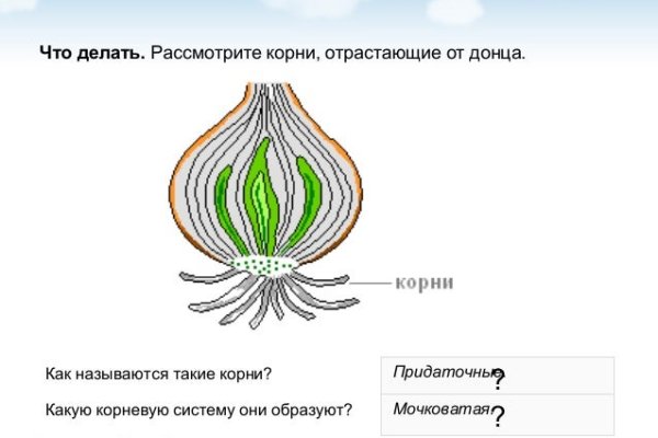 Кракен современный даркнет маркетплейс